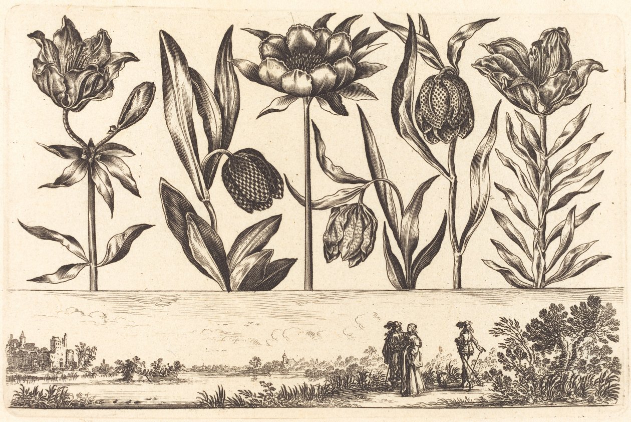 Estampa de Flores nº 11 de Nicolas Cochin after Balthasar Moncornet