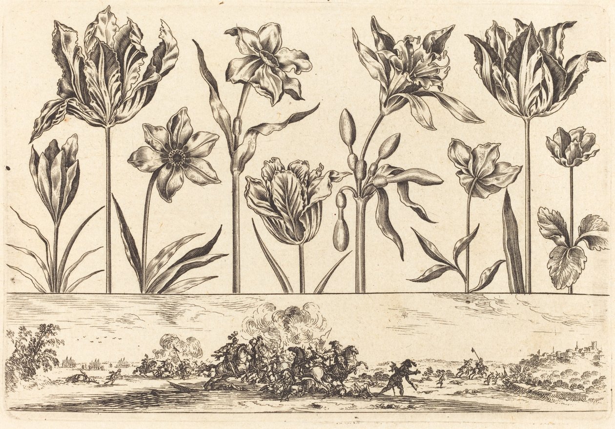Impressão de flores nº 2 de Nicolas Cochin after Balthasar Moncornet