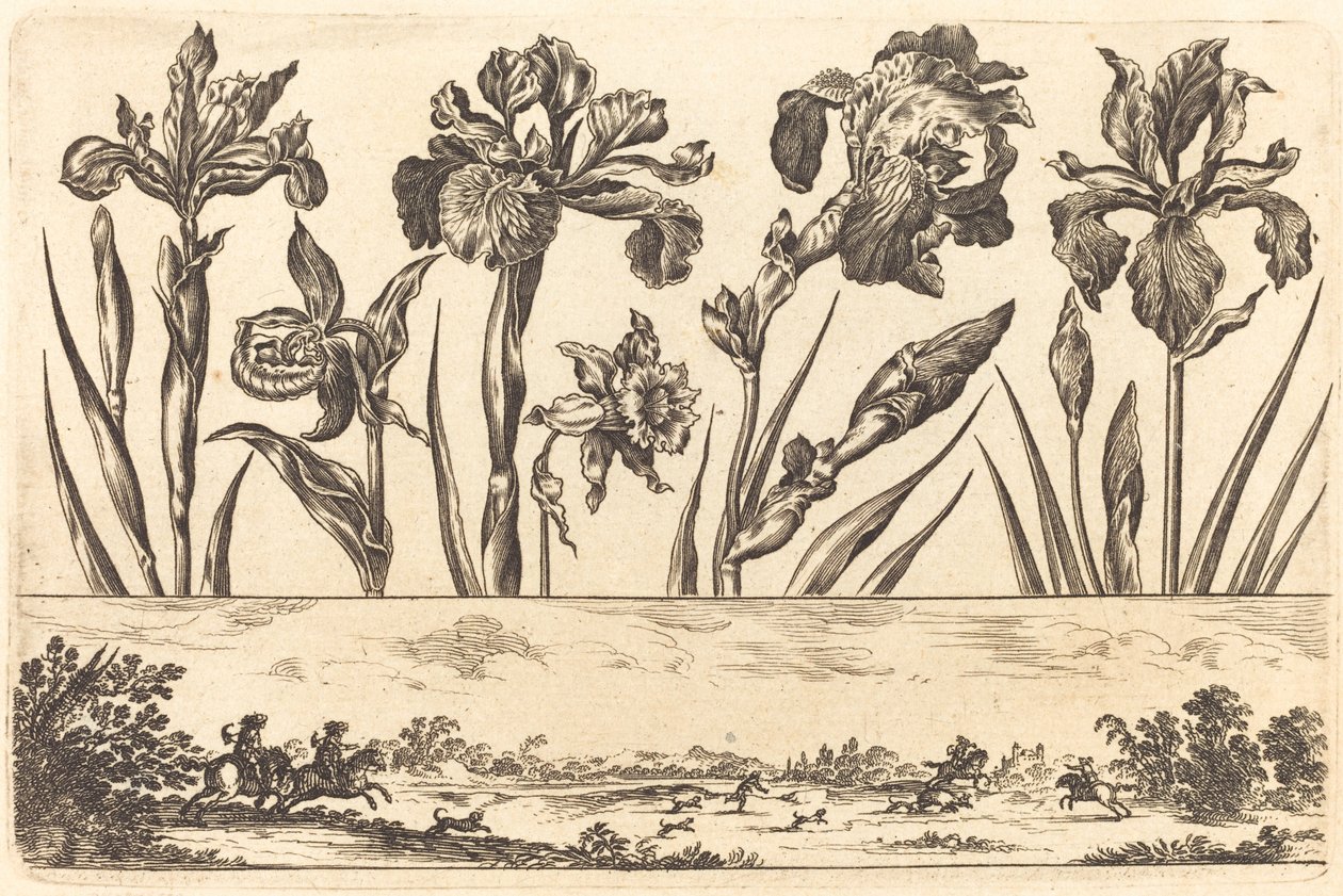 Estampa de Flores nº 3 de Nicolas Cochin after Balthasar Moncornet
