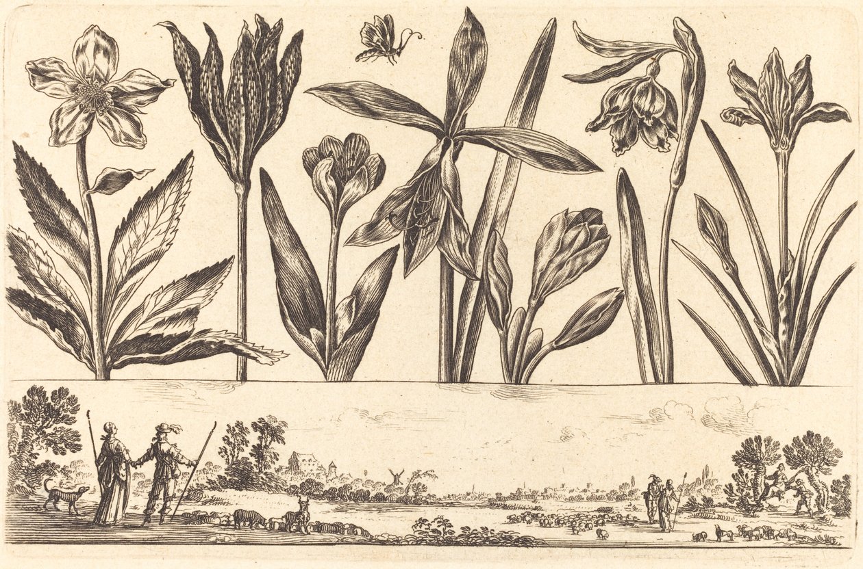 Impressão de flores nº 4 de Nicolas Cochin after Balthasar Moncornet