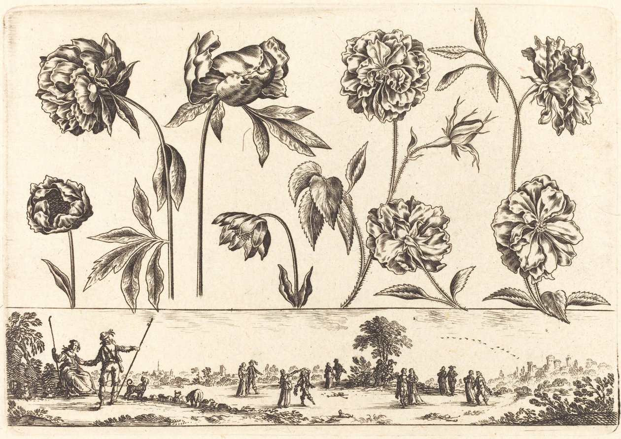 Impressão de flores nº 7 de Nicolas Cochin after Balthasar Moncornet