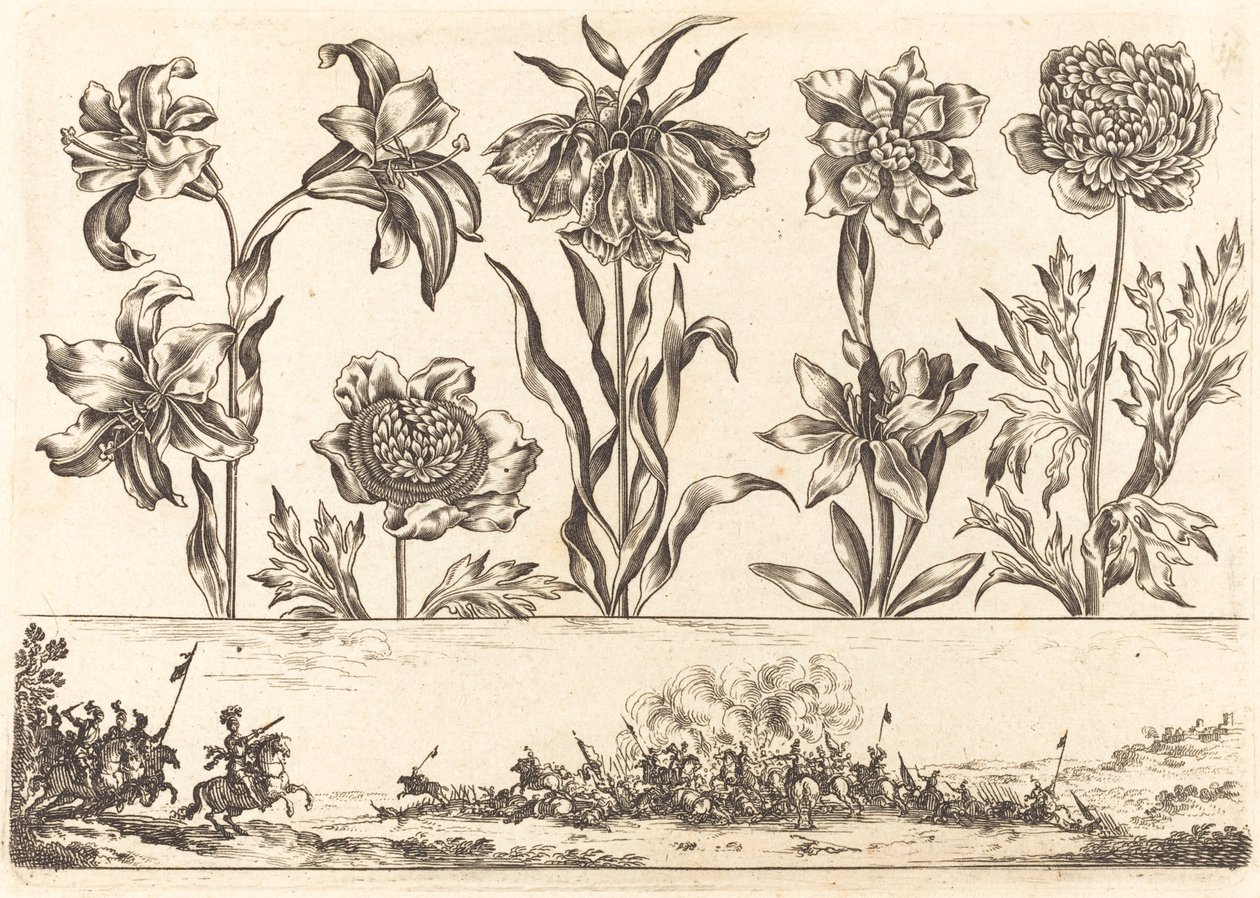 Impressão de flores nº 8 de Nicolas Cochin after Balthasar Moncornet