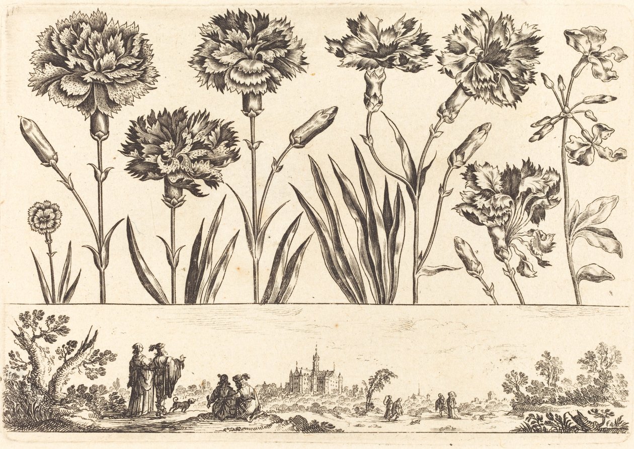 Impressão de flores nº 9 de Nicolas Cochin after Balthasar Moncornet