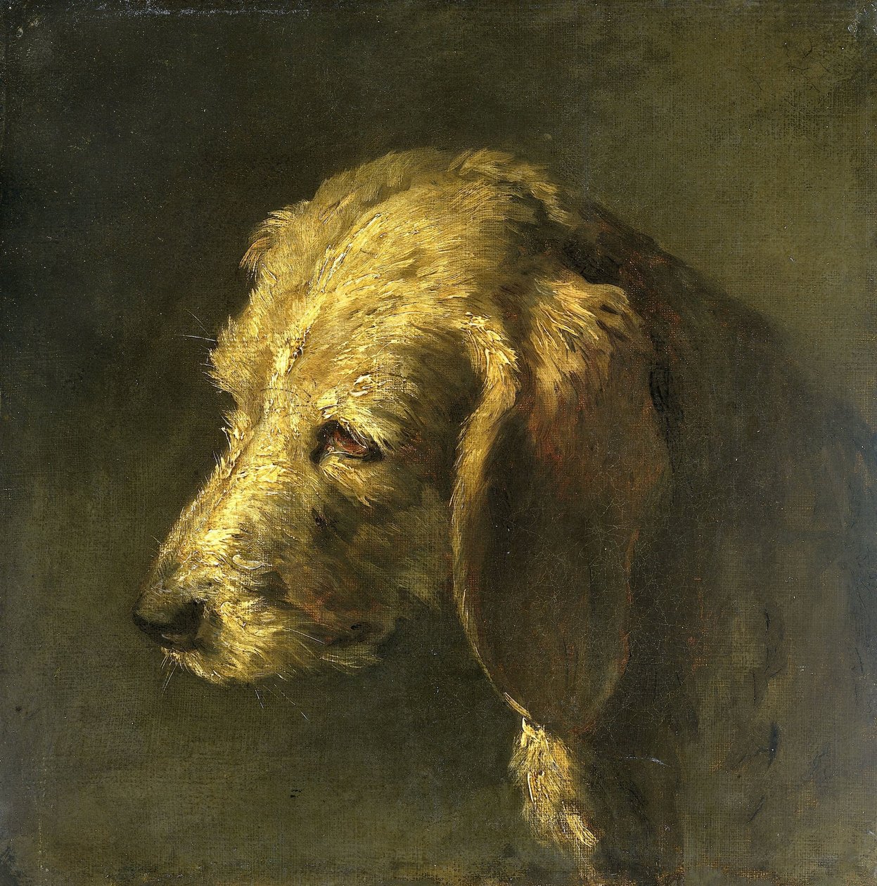 Cabeça de um cão de Nicolas Toussaint Charlet (attributed to)