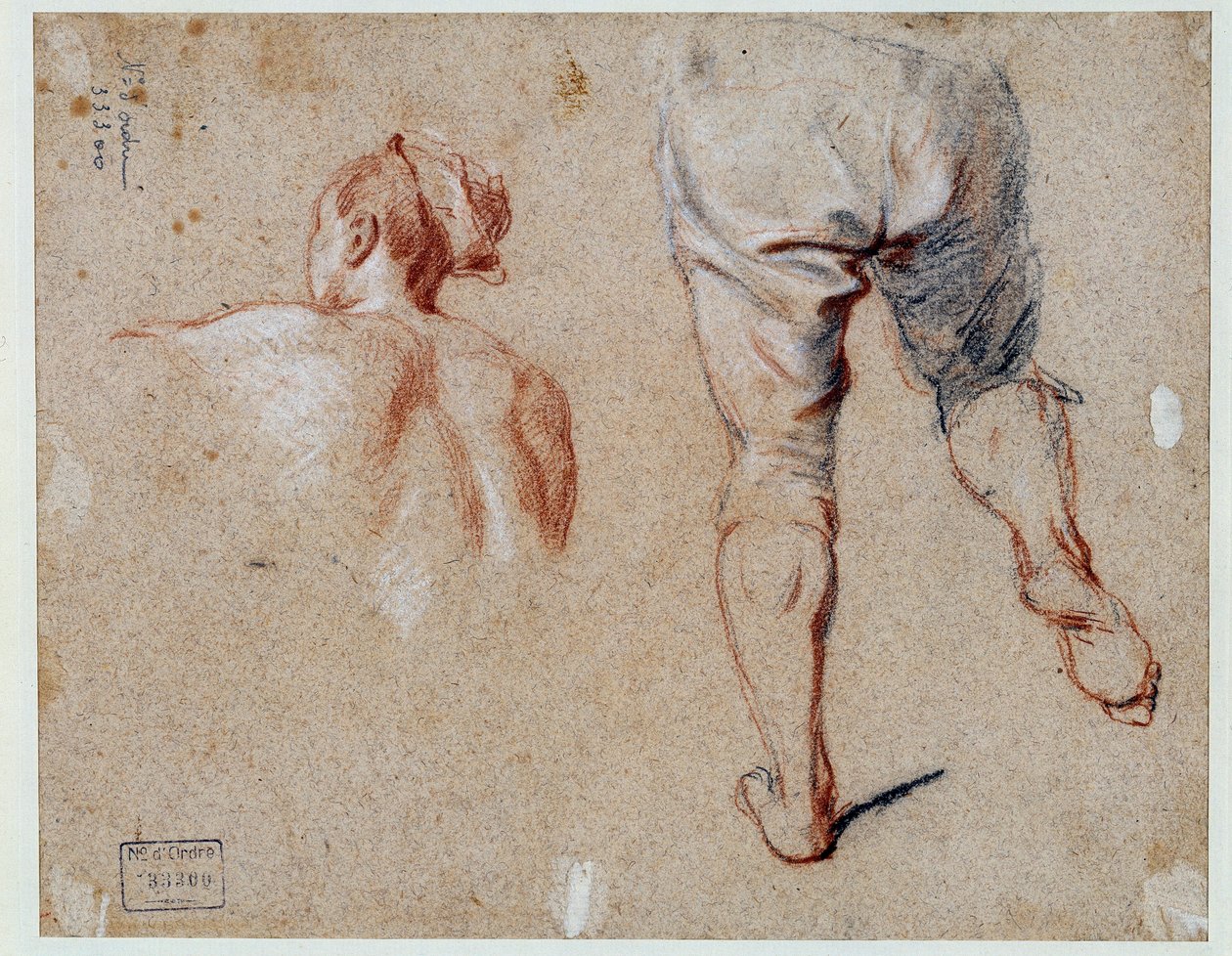 Estudo de anatomia Desenho a óleo por Nicolas Vleughels (1668-1737) Paris do século XVIII, Museu do Louvre de Nicolas Vleughels