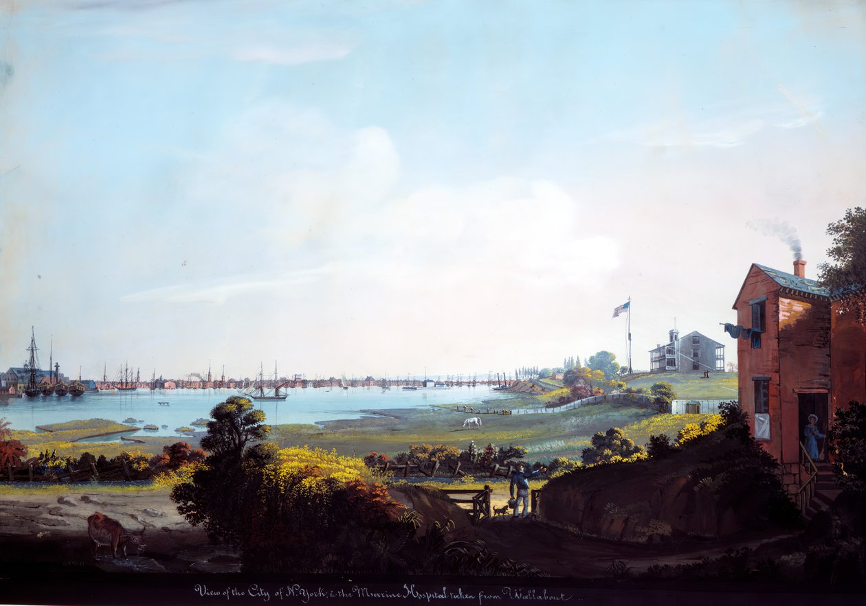 Vista da cidade de Nova York e do Hospital Marítimo Tomado de Wallabout. de Nicolino Calyo