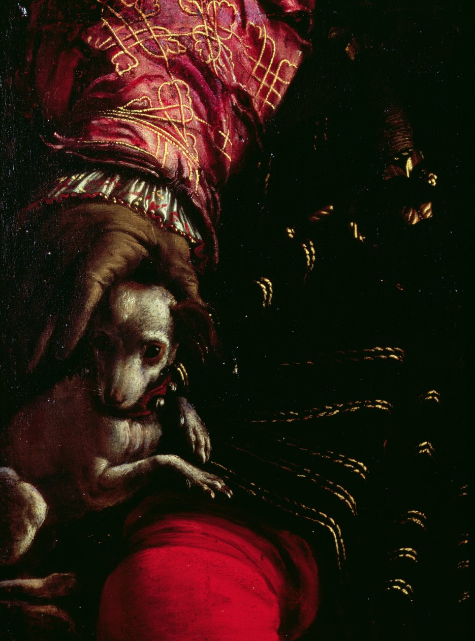 Detalhe de um cão de uma pintura de um homem desconhecido óleo sobre tela ver também 279070 de Nicolo dell Abate