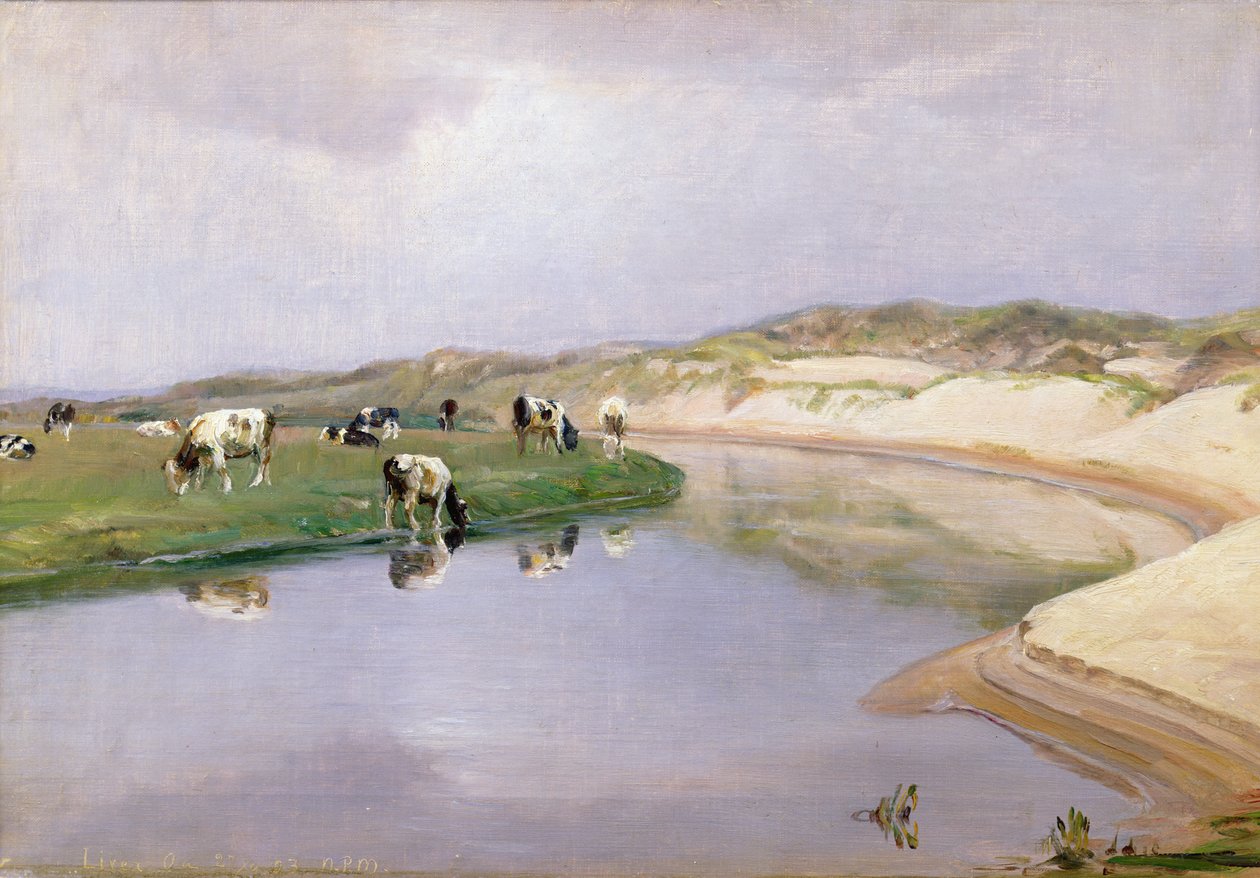 Vacas pastando no fígado como, North Jutland de Niels Pedersen Mols