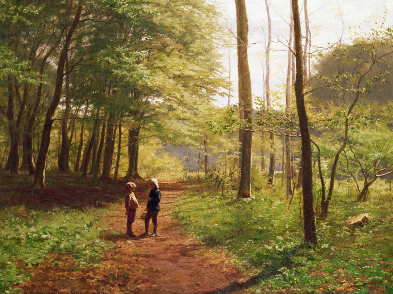 Um passeio na floresta de Niels Christian Hansen