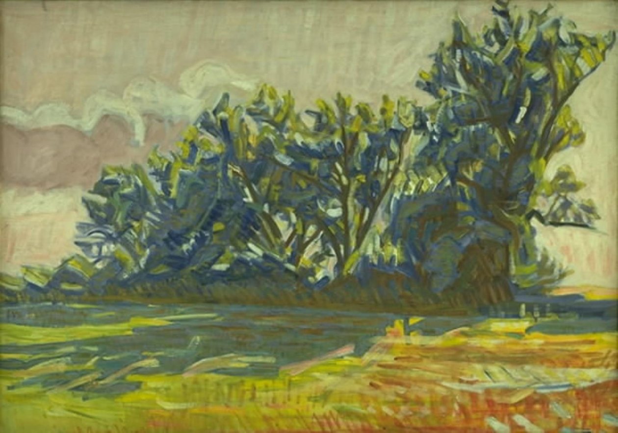 Fileira de salgueiros perto de Borup de Niels Larsen Stevns