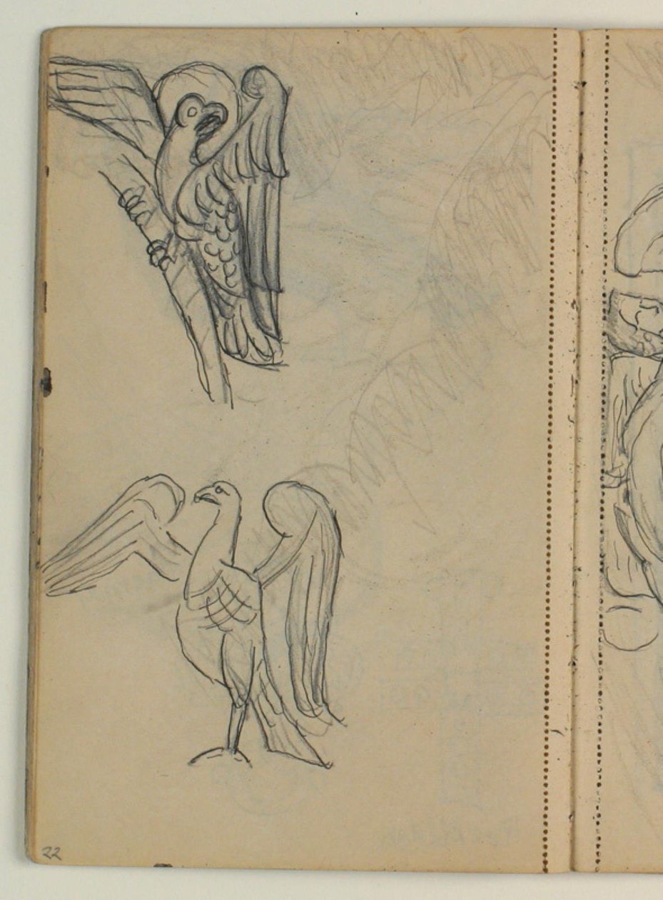 Estudos de aves, provavelmente após publicação de Niels Larsen Stevns