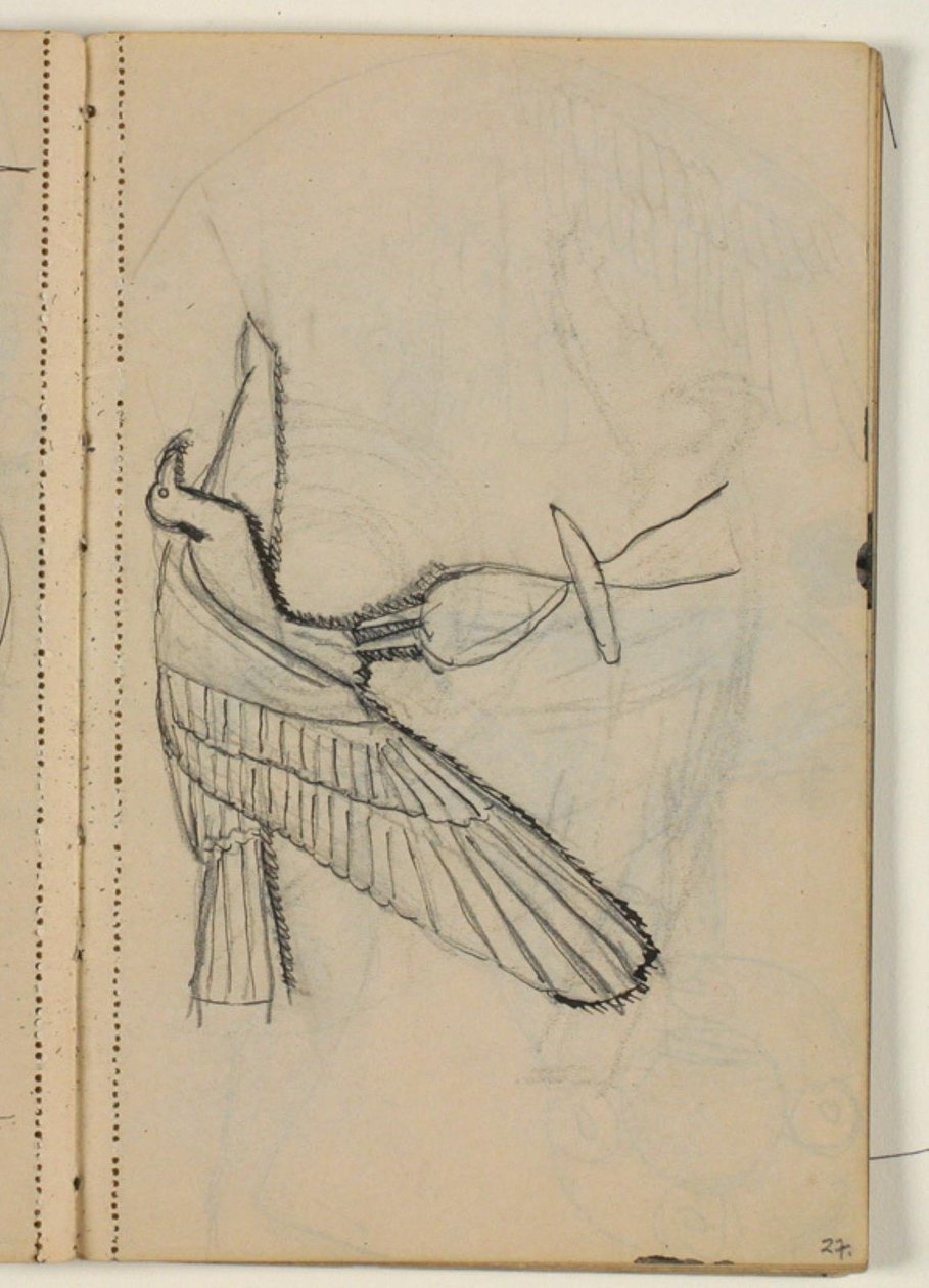 Estudos de aves, provavelmente após publicação de Niels Larsen Stevns