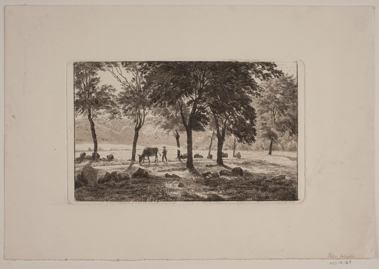 A Avenida de Niels Skovgaard