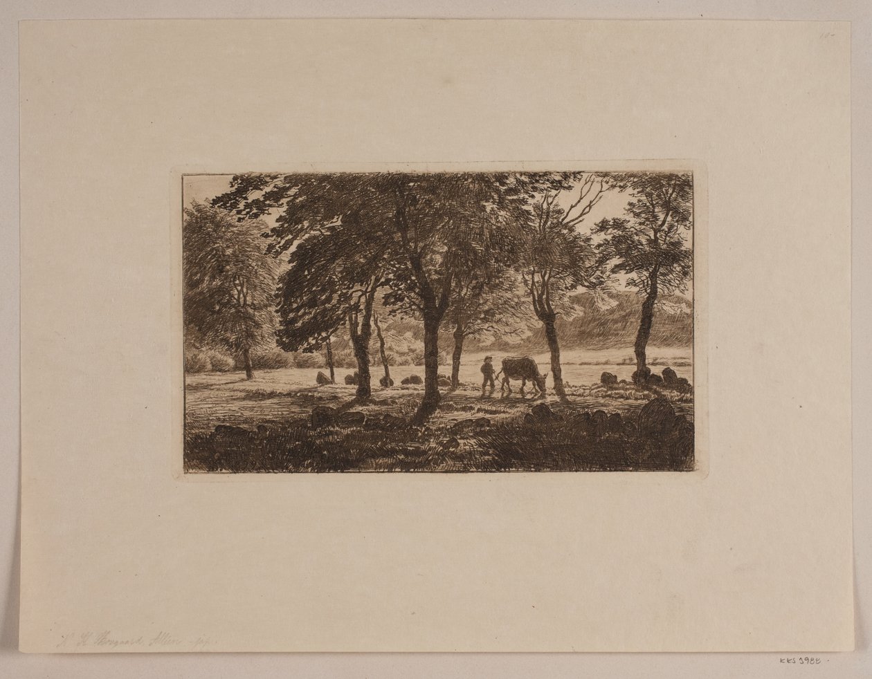 A Avenida de Niels Skovgaard