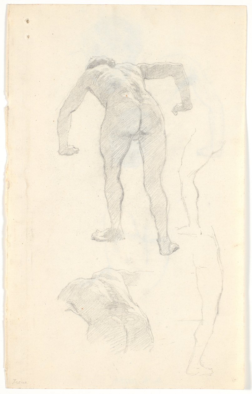 Estudo de modelo de Niels Skovgaard