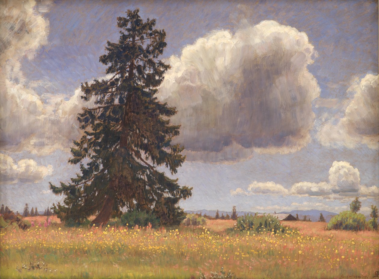 Árvore de abeto em um pasto de verão. Noruega de Niels Skovgaard