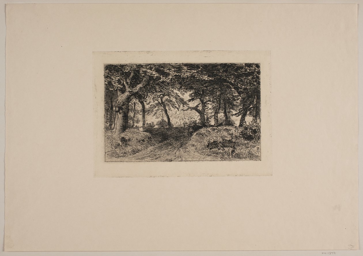 Transporte em uma estrada de floresta de Niels Skovgaard