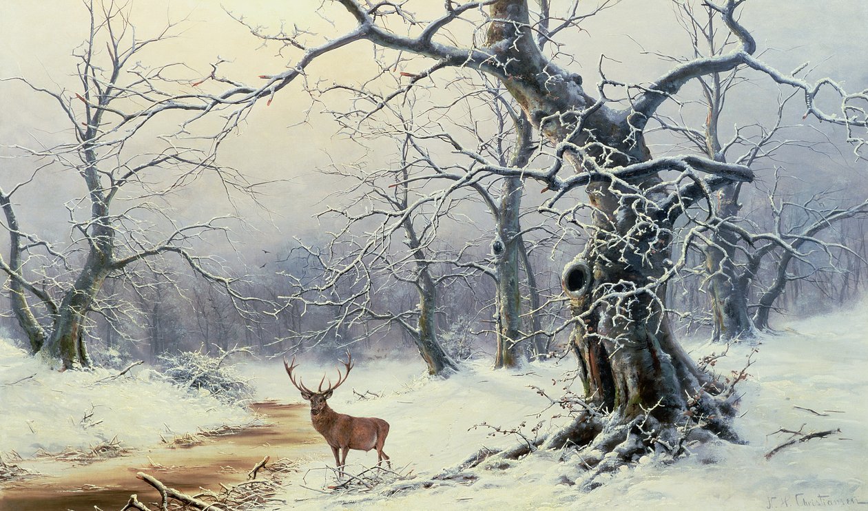 Imagem desconhecida de Nils Hans Christiansen