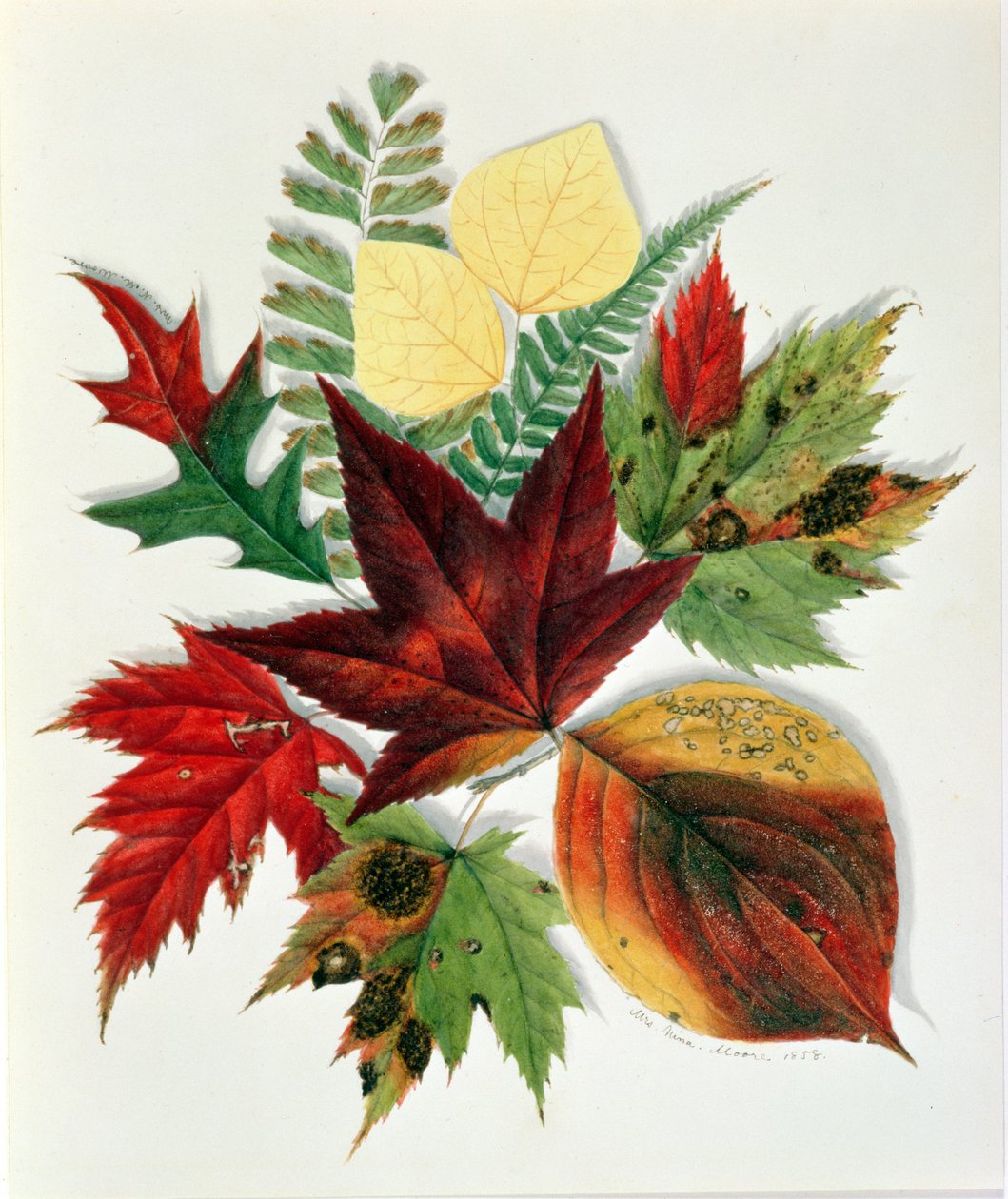 Folhas de Outono, 1858 (wc no papel) de Nina Moore