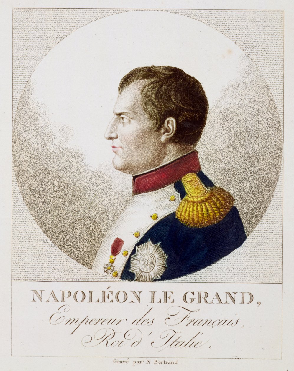Retrato de Napoleão de Noel Francois Bertrand