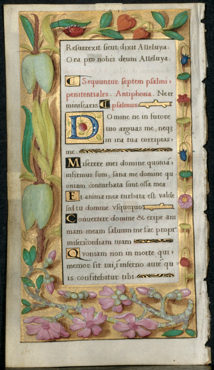Folha de um Livro de Horas: Salmos Penitenciais, c. 1530-1535. de Noel Bellemare
