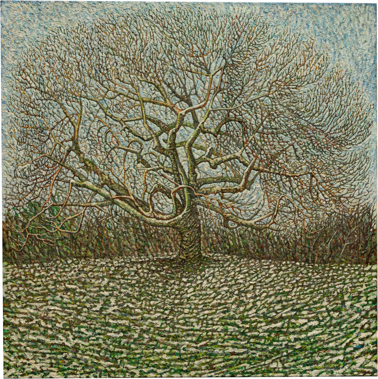 Árvore do Último inverno, 2023 (óleo sobre linho) de Noel Paine