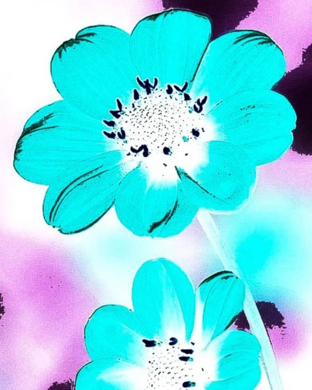 Flor azul de Nomi Morina