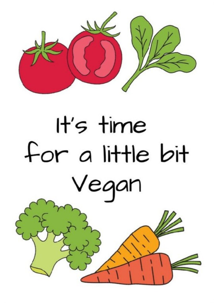 Vegan de Nomi Morina