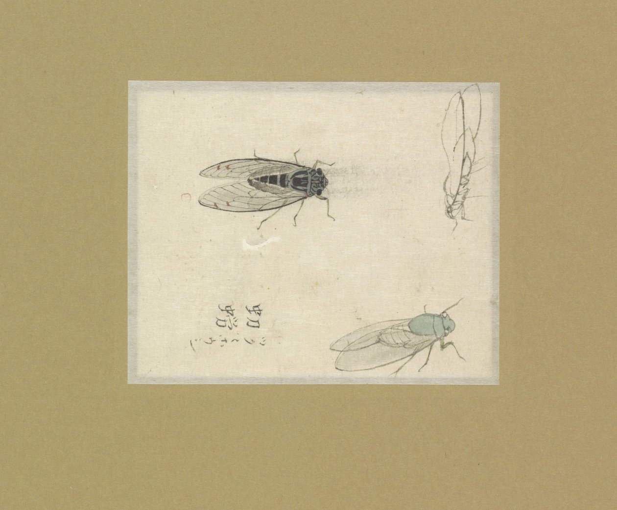 Três estudos de moscas de Nonoyama Kozan (possibly)