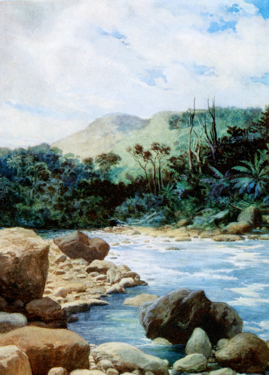 Cenário em Eromanga, New Hebrides, 1908 de Norman Hardy