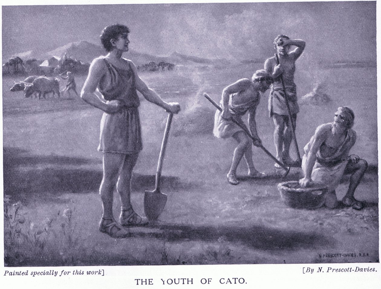 A juventude de Cato de Norman Prescott Davies