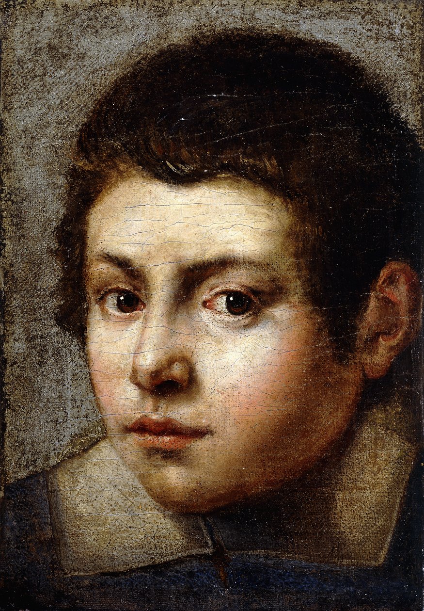 Cabeça de um menino de Northern Italian School