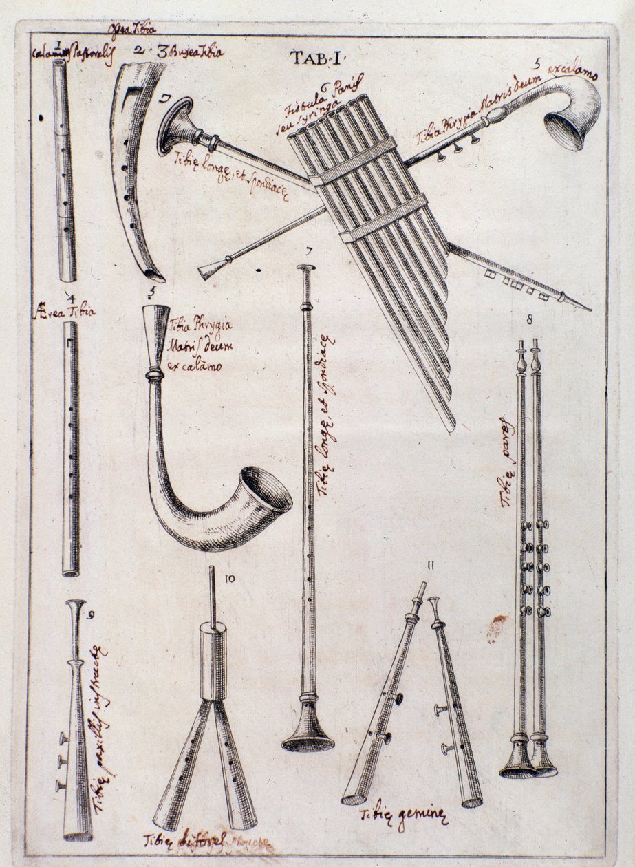 Página de instrumentos de sopro "" Três tipos de instrumentos musicais novos "," trabalho sobre instrumentos antigos de Francesco Bianchini de Northern Italian School