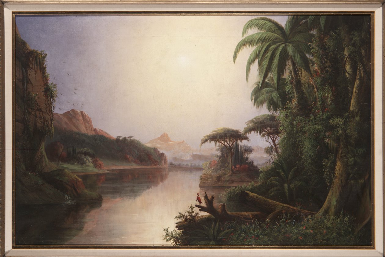 Paisagem tropical de Norton Bush