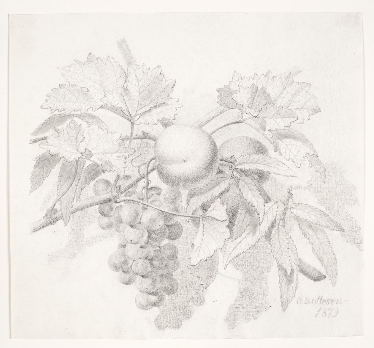 Uvas e pêssegos de O.D. Ottesen
