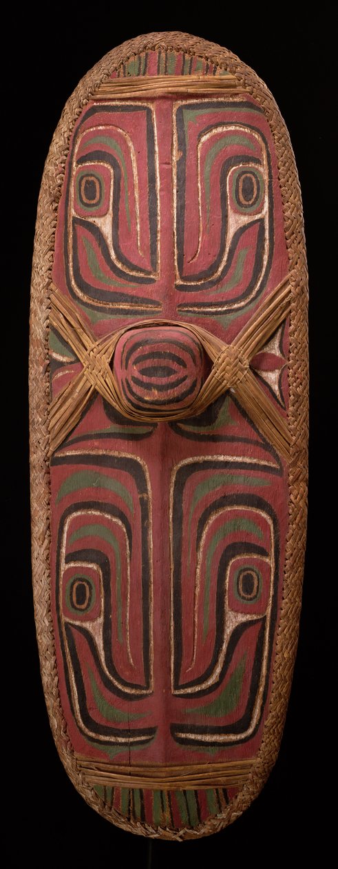 Escudo Sepik do norte da Nova Guiné (madeira) de Oceanic
