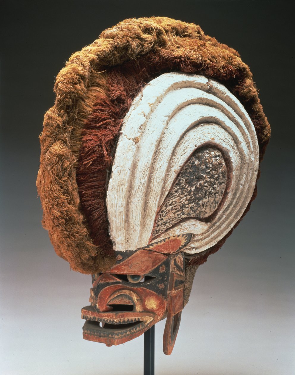 Máscara de Capacete (tatanua), Nova Irlanda do Norte, Papua Nova Guiné, 1884-95 (madeira, tinta, conchas de ópera, reboco de cal, fibra vegetal, casca, tecido de casca, vime e cordão) (ver também 169883) de Oceanic