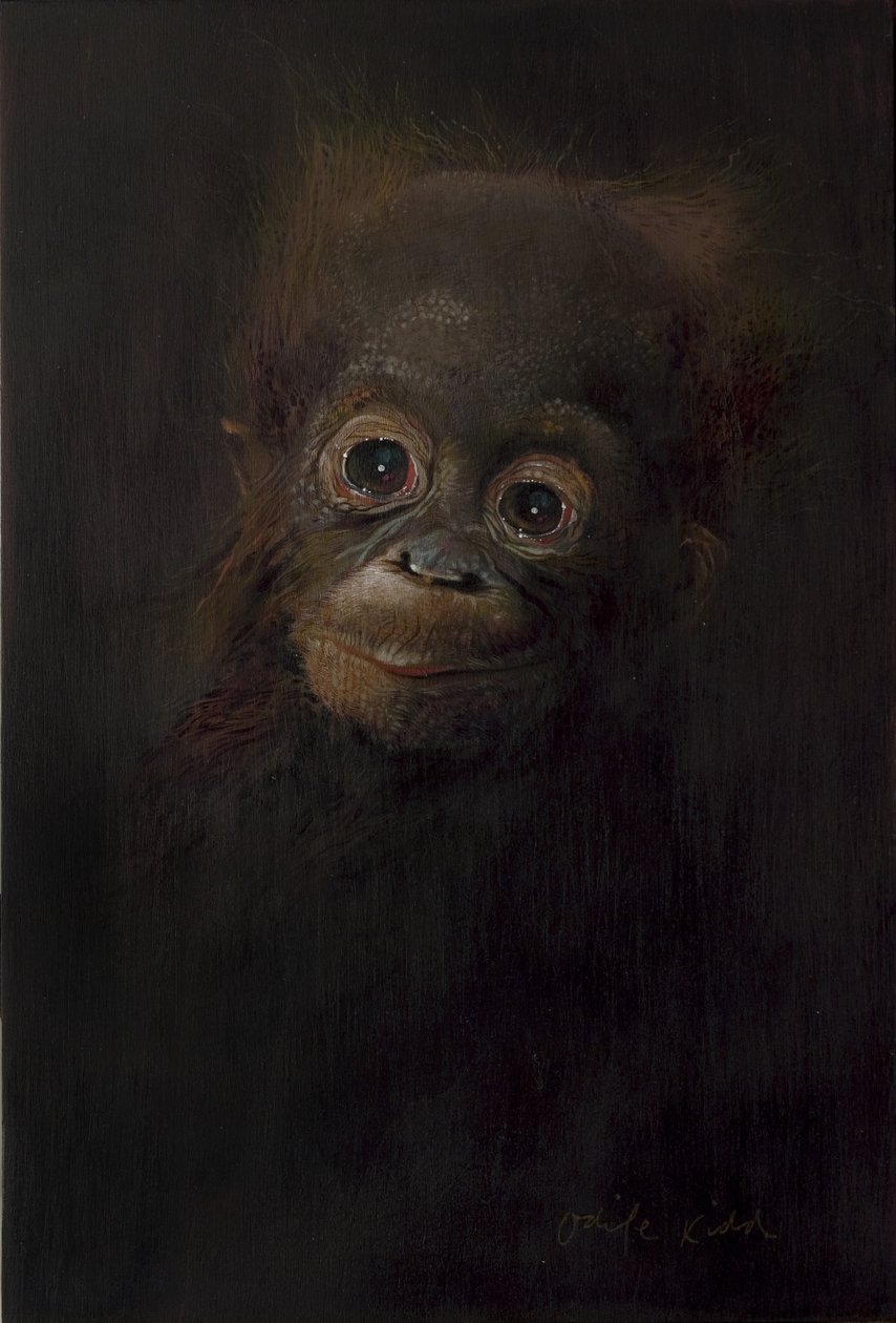 Bebé orangotango 1, 2009 (acrílico sobre madeira) de Odile Kidd
