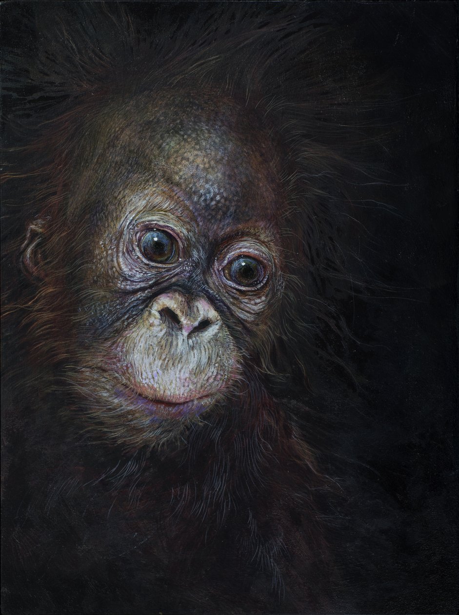 Bebé orangotango 3, 2015 (acrílico sobre madeira) de Odile Kidd