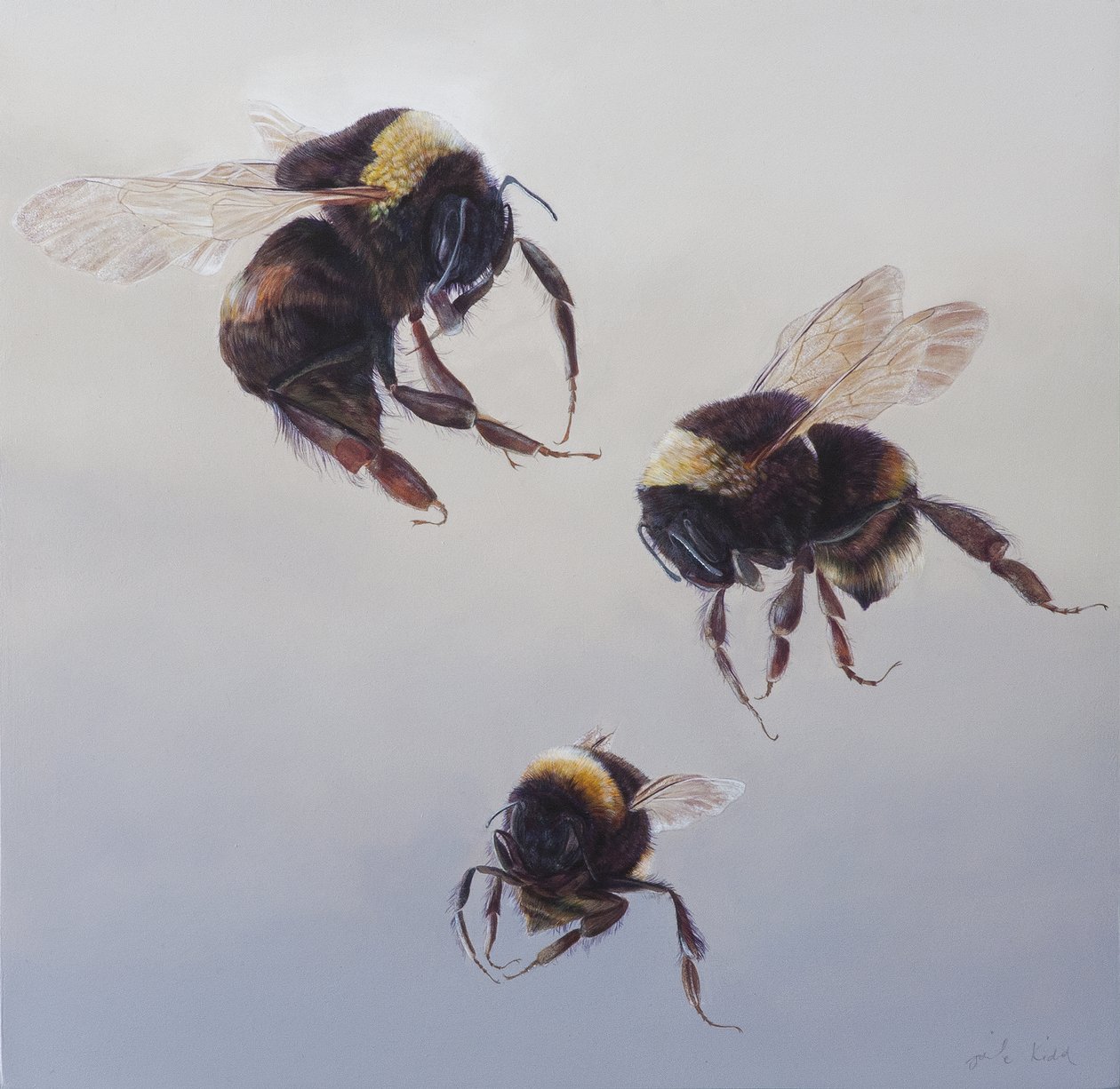 Voo de Bombus 1, 2011 (acrílico sobre madeira) de Odile Kidd