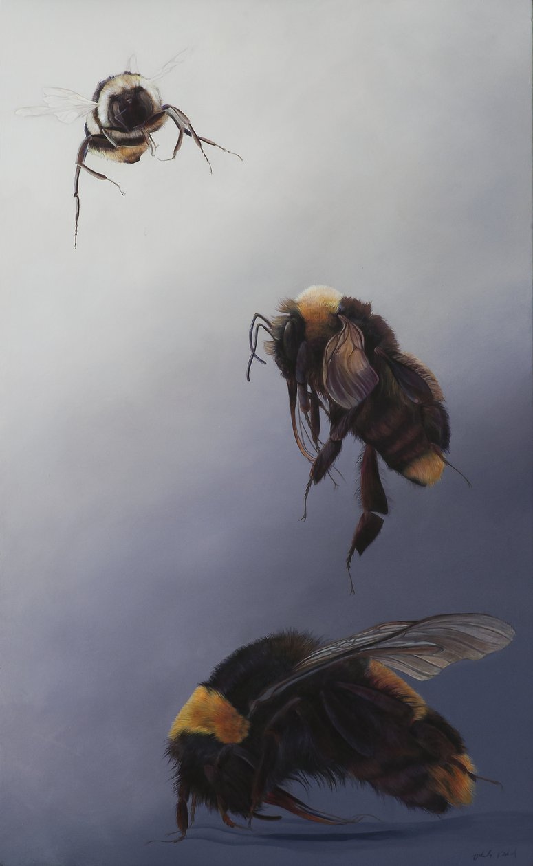 Voo de Bombus 2, 2011 (acrílico sobre madeira) de Odile Kidd