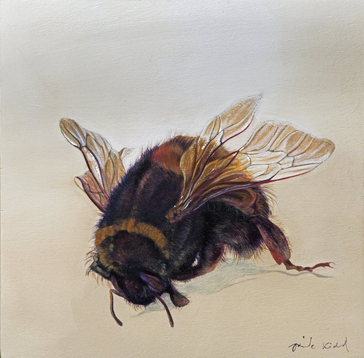 Bombus terrestris 10, 2013 (acrílico sobre madeira) de Odile Kidd
