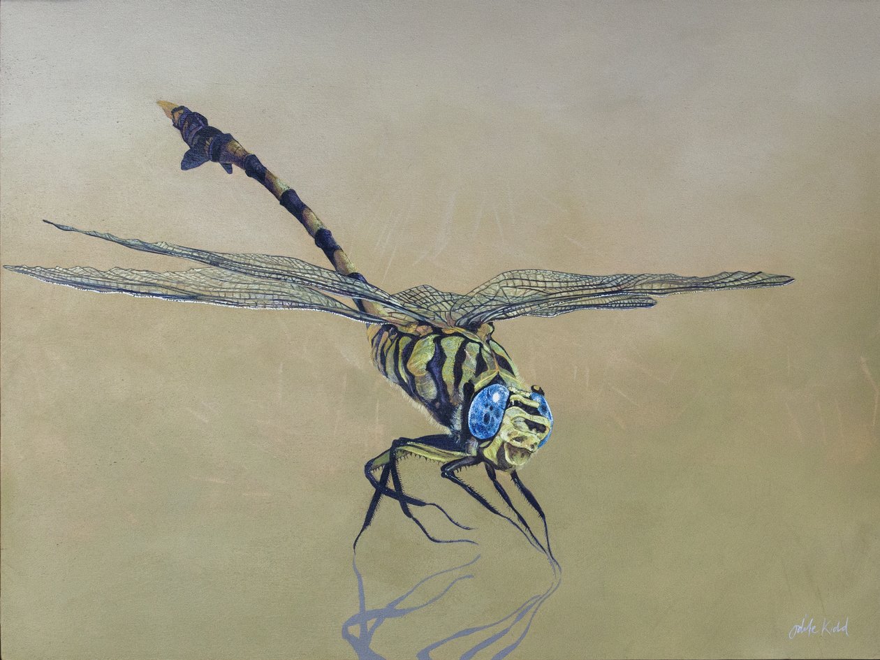 Mosca do dragão, 2009 (acrílico sobre madeira) de Odile Kidd