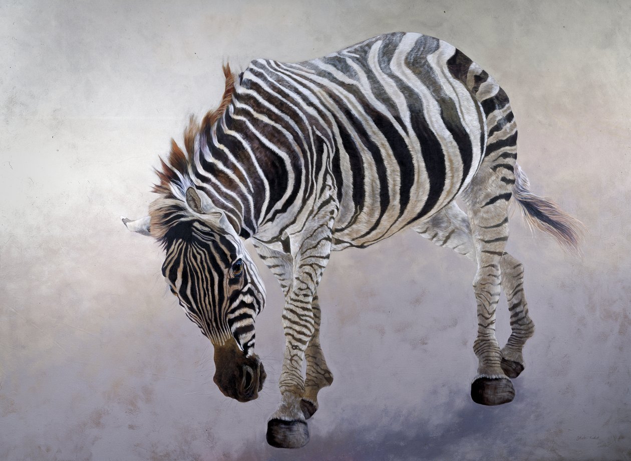 Equus burchelli 2, 2010 (acrílico sobre tela) de Odile Kidd