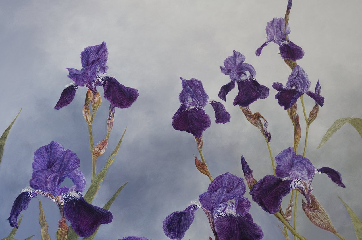 Iris hybrida (pormenor), 2015 (acrílico sobre madeira revestida a gesso) de Odile Kidd