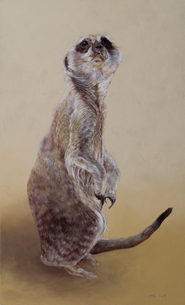 Suricata 2, 2010 (acrílico sobre madeira) de Odile Kidd