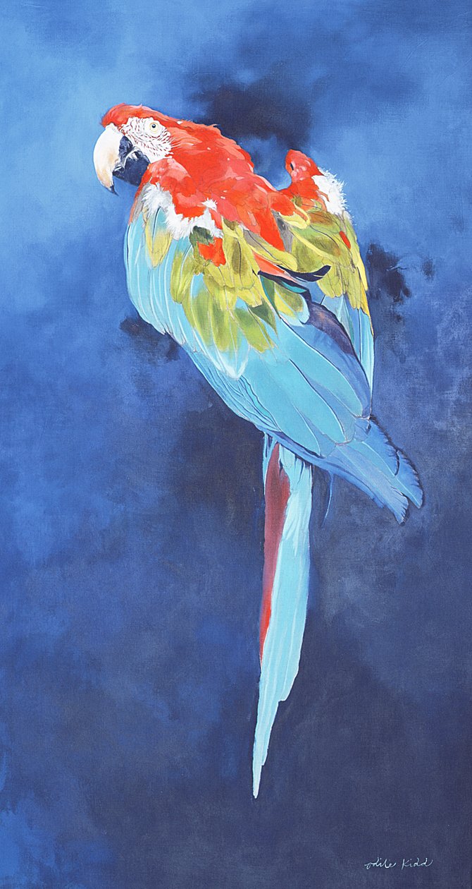 Arara vermelha e azul, 2002 (acrílico sobre linho) de Odile Kidd