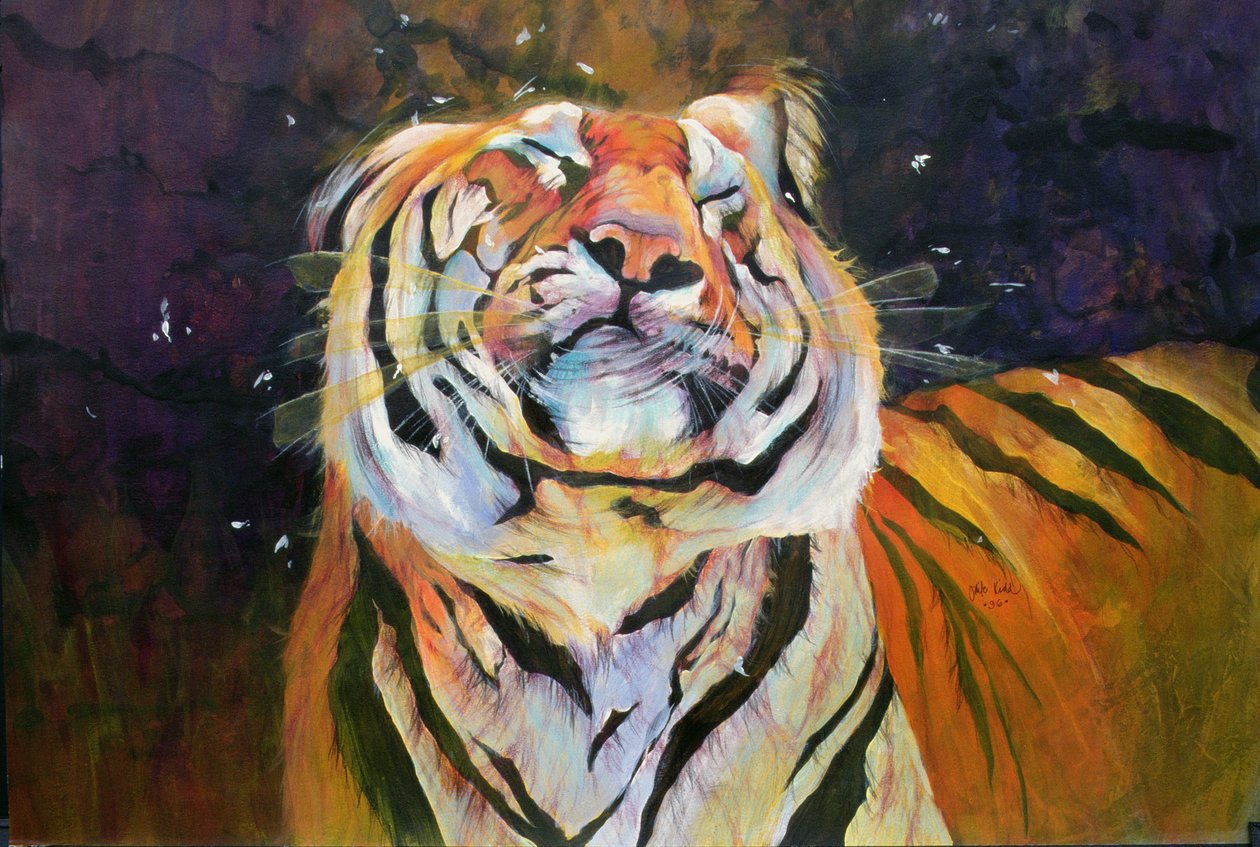 Tigre (cabeça a abanar) 1996 (tintas, acrílicos e lápis sobre papel) de Odile Kidd