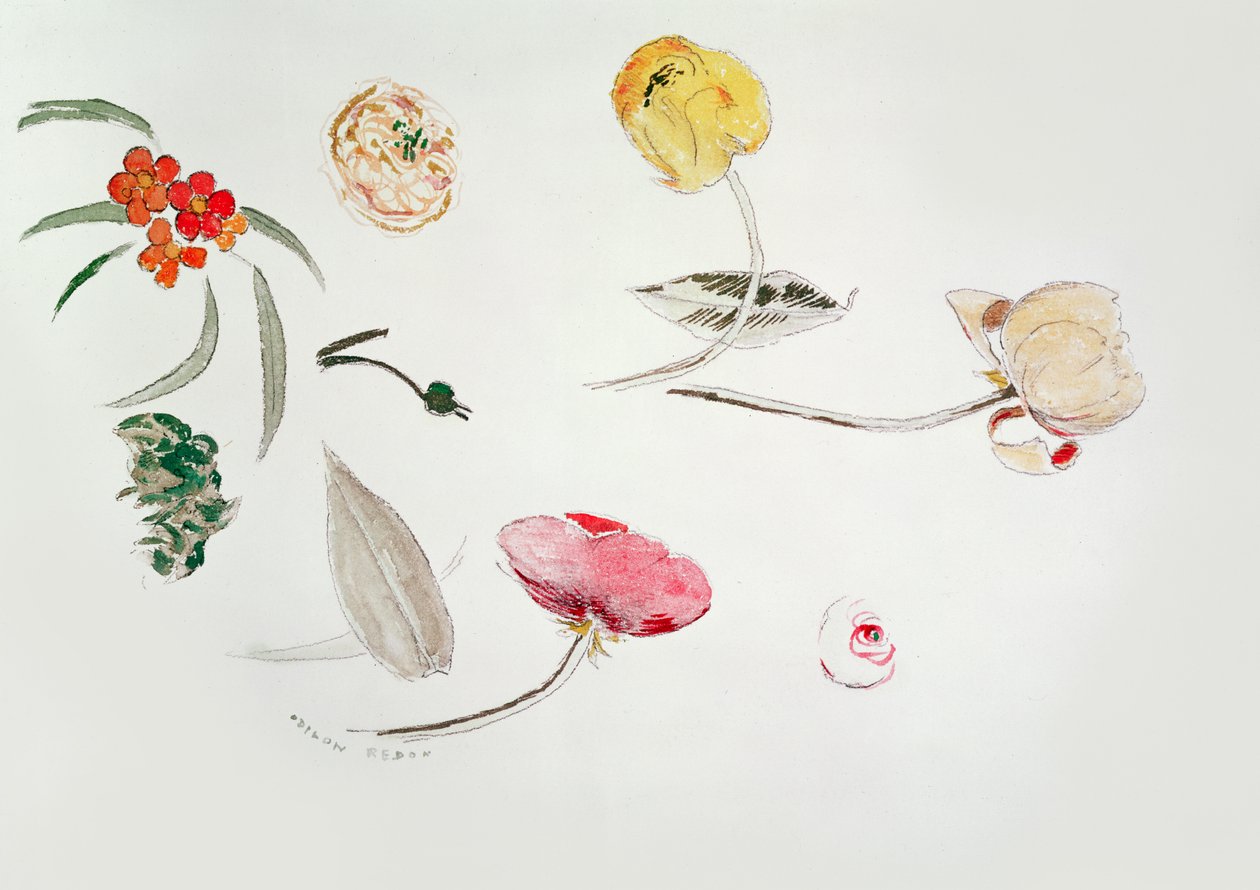 Estudo flor de Odilon Redon
