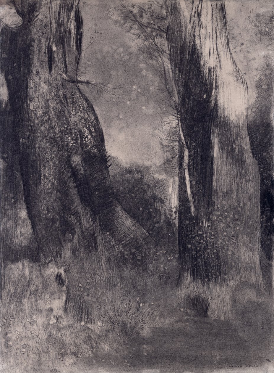 As árvores, de 1890 (carvão no papel) de Odilon Redon